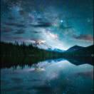 齐殿的个人资料头像