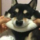 邦君的个人资料头像