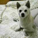 爱学习109219的个人资料头像