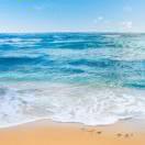 小铁匠打铁的个人资料头像