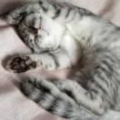 Alias的个人资料头像