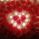 知行合一酱109580的个人资料头像