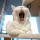 weakself的个人资料头像