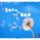 蒲公英重名了109695的个人资料头像