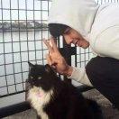 Wsy流的个人资料头像