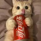 Colourful同学的个人资料头像