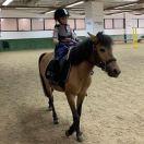 月色弥漫重名了的个人资料头像