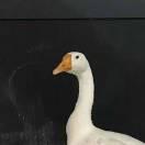 昭宇TT的个人资料头像