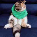 蔡建喜的个人资料头像