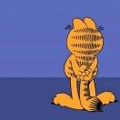 月君110010的个人资料头像