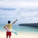 辉辉猫的个人资料头像