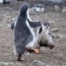 王欣欣欣本尊的个人资料头像