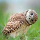 R同学110142的个人资料头像