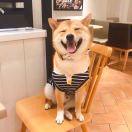 Carina在掘金的个人资料头像