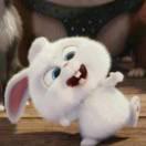 耳東的个人资料头像