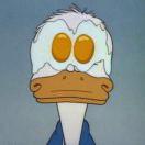 110353的个人资料头像