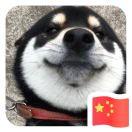 MJ的个人资料头像