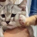 Andy爱学习110470的个人资料头像