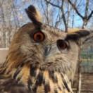 Yoll的个人资料头像