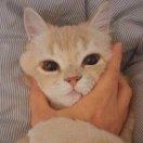 ASDF重名了110543的个人资料头像