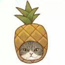 undefined的个人资料头像