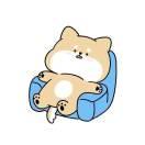 轻弹的个人资料头像