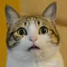 MikeWe的个人资料头像