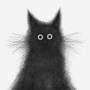 Bigyear的个人资料头像