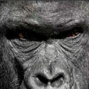 wxing2020520的个人资料头像