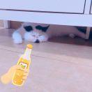 阿P的个人资料头像