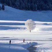 当音乐爱上旅行的个人资料头像