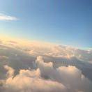 742就是我的个人资料头像