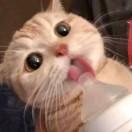 爱学习111008的个人资料头像