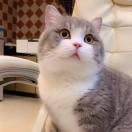 皮皮虾没有瞎的个人资料头像