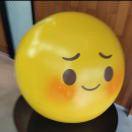 小燕雀的个人资料头像