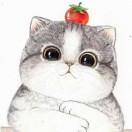 TamatoCatie的个人资料头像