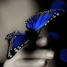 刘利本尊111360的个人资料头像