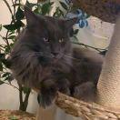 流量卡的个人资料头像