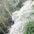 在掘金111397的个人资料头像