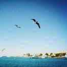 傑同学111423的个人资料头像