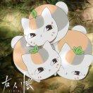 所味的个人资料头像