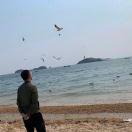 小于小于不咋吃鱼的个人资料头像