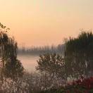 刘帅重名了的个人资料头像