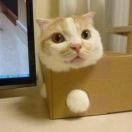 ddrppopp的个人资料头像