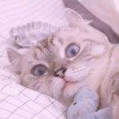 就是我的个人资料头像